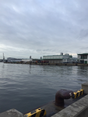 サバサバサバ！