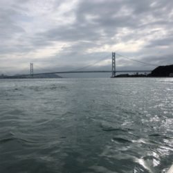 タイラバ勝利！