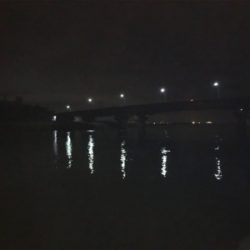 久々フィッシュ(チヌ)