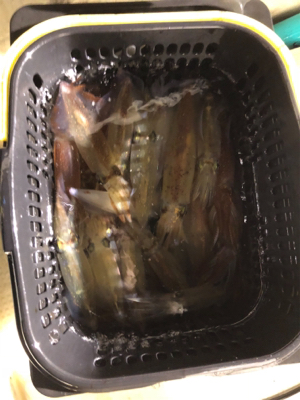 日本海イカメタル