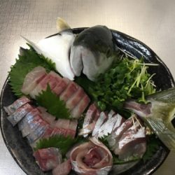 念願の青物