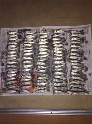 爆釣釣りガール