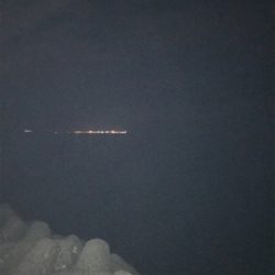 アジングなんでこうなるの？