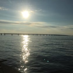 サバでギュイーンとドラグ