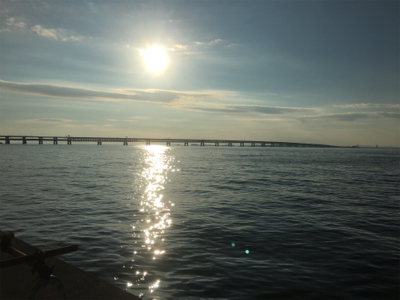 サバでギュイーンとドラグ