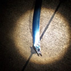 スローワインド!