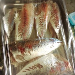 秋のアジ祭り！