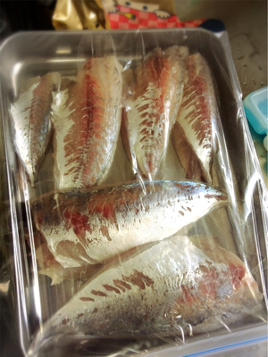 秋のアジ祭り！