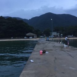 和歌山中紀から舞鶴に遠征