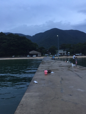 和歌山中紀から舞鶴に遠征