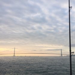 ショアジギング