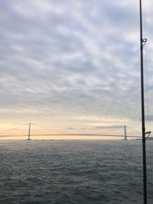 ショアジギング