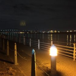 今期初タチウオ