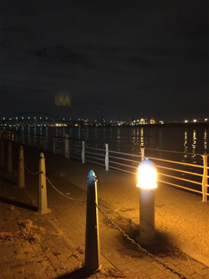 今期初タチウオ