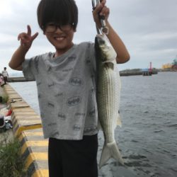 息子とサヨリ釣り