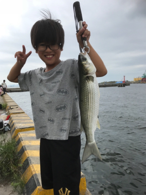 息子とサヨリ釣り