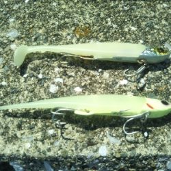 やっぱエサかぁ…