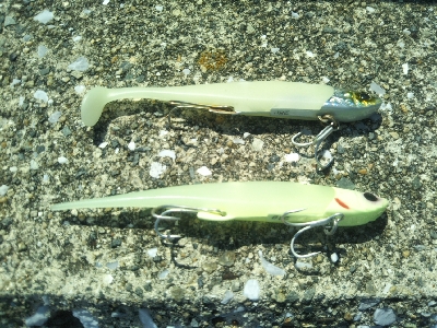 やっぱエサかぁ…