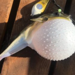 葉山ボードチャレンジ