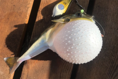 葉山ボードチャレンジ