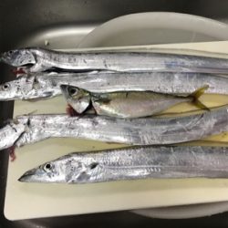 太刀魚ウキ釣り