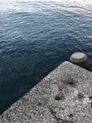 初の地磯エギング