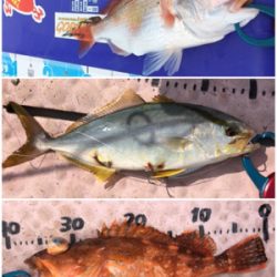 8目釣り！マイボート釣行