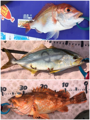 8目釣り！マイボート釣行