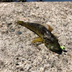 絶景に癒されました！