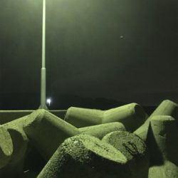 久々のライトゲーム 短時間