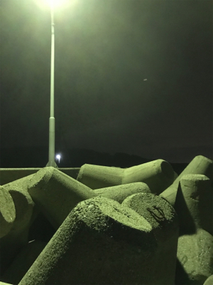 久々のライトゲーム 短時間