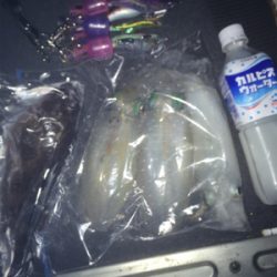 久々の納得釣行