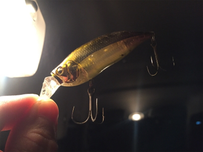 久しぶりのホーム釣行