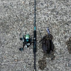 湾内でもよきよき！！