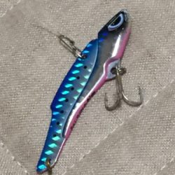 キチニングと海底掃除