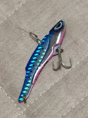 キチニングと海底掃除