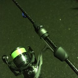 ベイトっ気はあるのだが