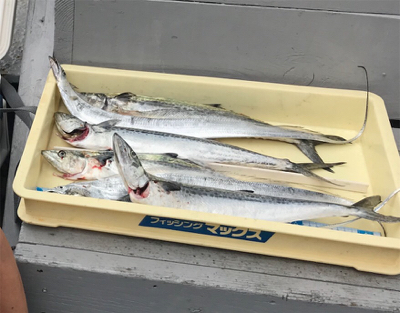 楽しかった釣行。