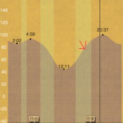 タチウオ釣りに行ったのに…