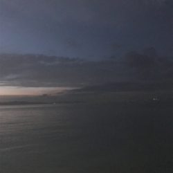 太刀魚は何処に？