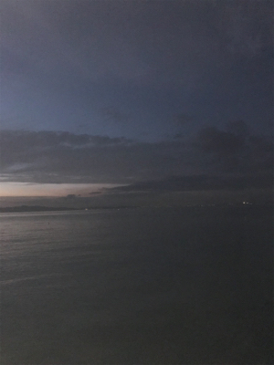 太刀魚は何処に？