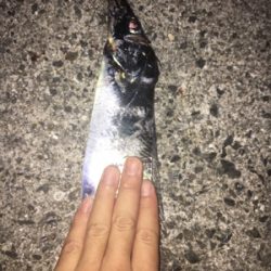 釣れて良かった。