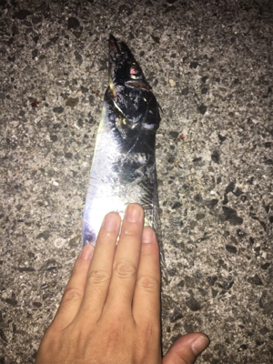 釣れて良かった。