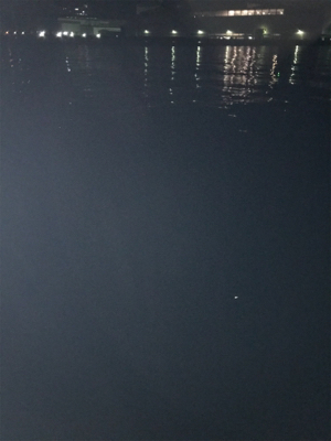 お手軽3種目成功！