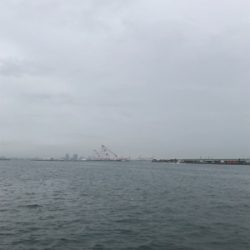 テンヤとバイブで太刀魚♫