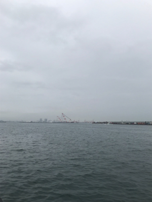 テンヤとバイブで太刀魚♫