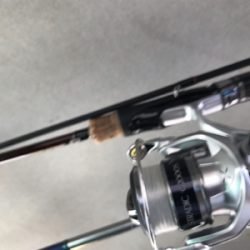 島でのライトゲーム