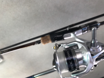 島でのライトゲーム