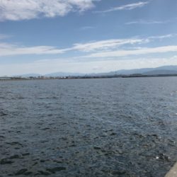 チャリコ入れ食いだ！