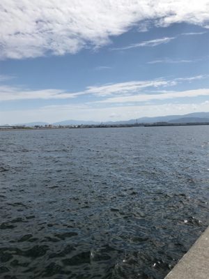 チャリコ入れ食いだ！